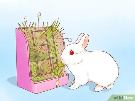 Image titled Feed Your Rabbit with Pellets Step 14