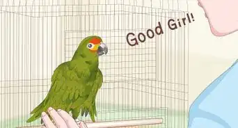 Teach Parrots to Talk