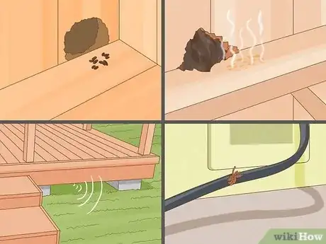 Image titled Get Rid of Rats Step 1