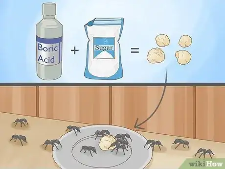 Image titled Get Rid of Carpenter Ants Step 2