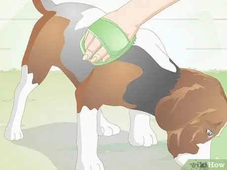 Image titled Brush Your Dog Step 22