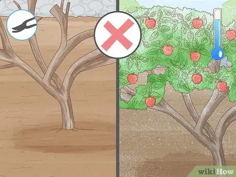 Image titled Fertilize an Apple Tree Step 10