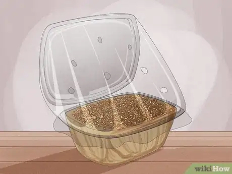 Image titled Grow Microgreens Step 12