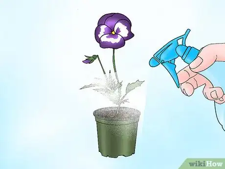 Image titled Make Pansies Bloom Again Step 3