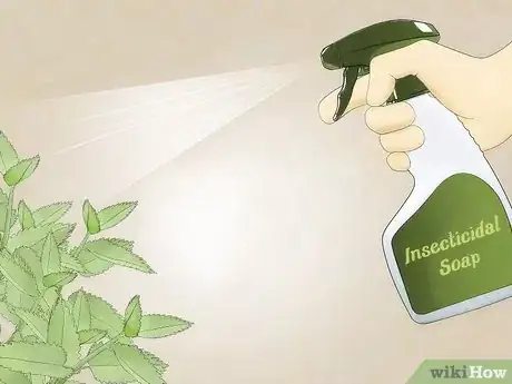 Image titled Get Rid of Aphids Step 12