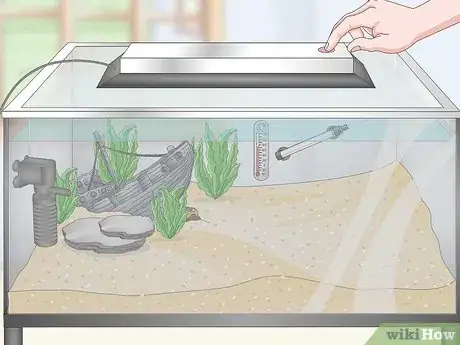 Image titled Set up a Tropical Freshwater Aquarium Step 16