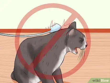 Image titled Train Your Cat to Come to You Step 12