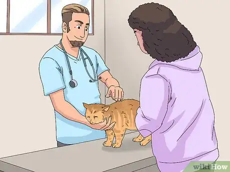 Image titled Treat a Cat with Bloody Diarrhea Step 1