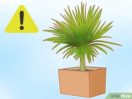 Image titled Prevent Cats from Eating Plants Step 13