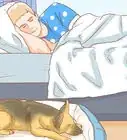 Stop Your Dog from Waking You Up at Night