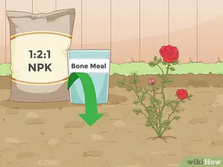 Image titled Prepare Soil for Roses Step 7