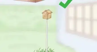 Build a Birdhouse