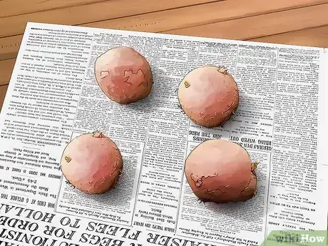 Image titled Grow Red Potatoes Step 1