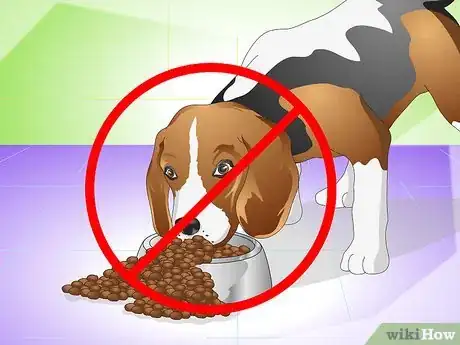 Image titled Cure a Dog's Stomach Ache Step 16