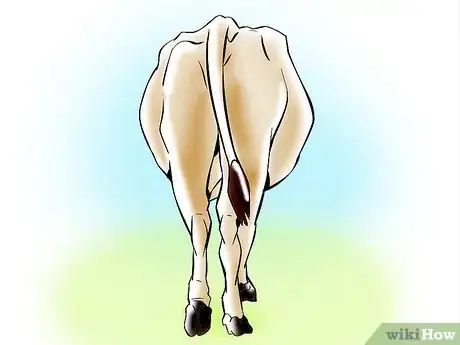 Image titled Artificially Inseminate Cows and Heifers Step 28