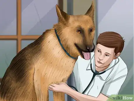 Image titled Take Care of a German Shepherd Step 9