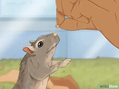 Image titled Tame Your Gerbils Step 15