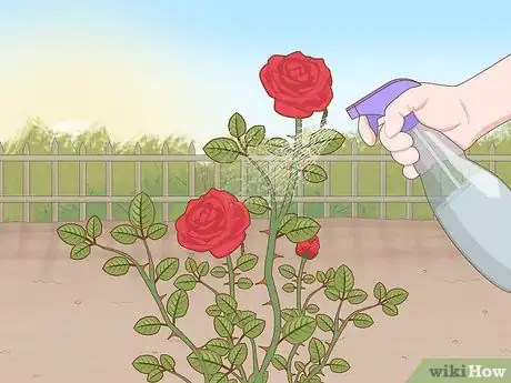 Image titled Get Rid of Aphids on Roses Organically Step 2