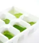 Keep Mint Leaves Fresh