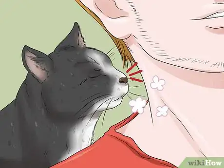 Image titled Calm Your Cat with Aromatherapy Step 11