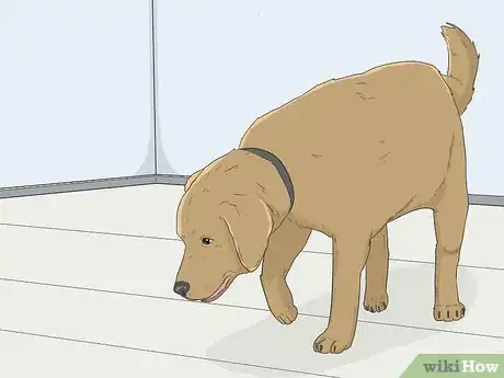 Image titled House Train Your Dog Step 3