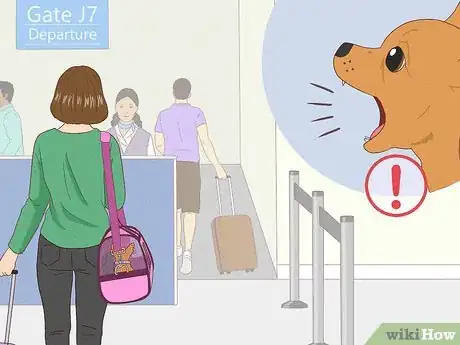 Image titled Prepare Your Dog for a Flight in Cabin Step 15