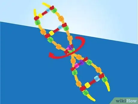 Image titled Make a Model of DNA Using Common Materials Step 14