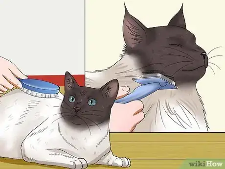 Image titled Prevent Matted Cat Hair Step 16