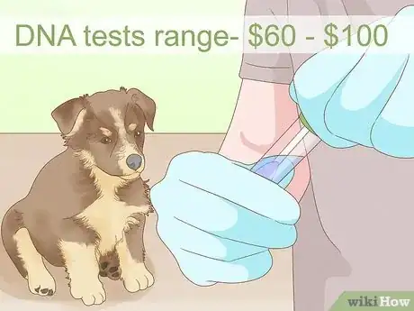 Image titled Tell How Big a Mixed Puppy Will Get Step 12