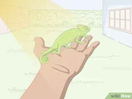 Image titled Take Care of a Chameleon Step 21