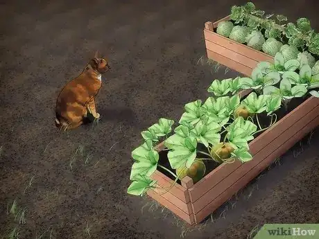 Image titled Keep Animals Out of Your Vegetable Garden Step 7