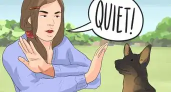 Train a German Shepherd to Be a Guard Dog