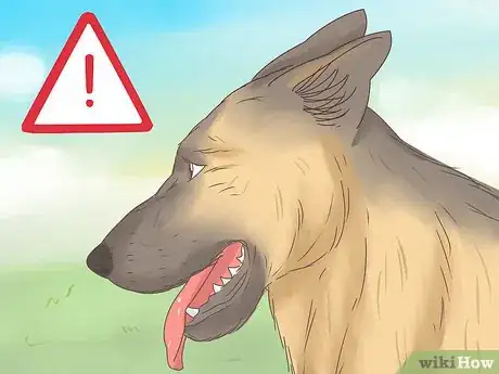 Image titled Understand Your Dog's Body Language Step 6