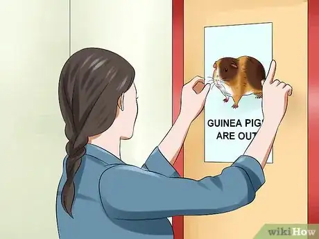 Image titled Walk a Guinea Pig on a Leash Step 8