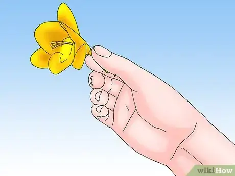 Image titled Care for a Potted Freesia After Blooming Step 2