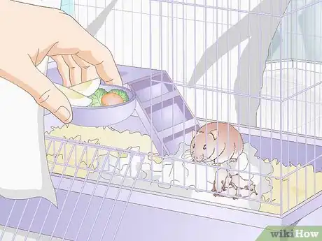 Image titled Handle Unexpected Baby Hamsters Step 4