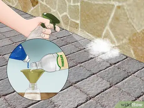 Image titled Get Rid of Wasps with Vinegar Step 14