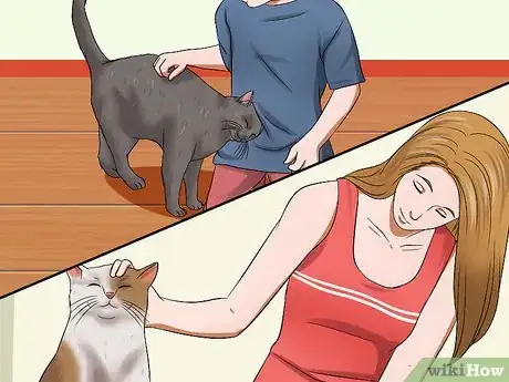 Image titled Teach a Cat to Recognize Its Name Step 8