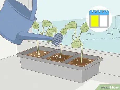 Image titled Grow Philodendron from Cuttings Step 15