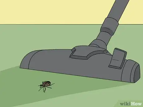 Image titled Do Pest Control With a Vacuum Cleaner Step 8