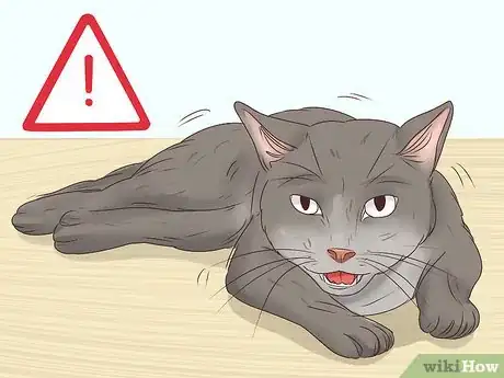 Image titled Help a Cat Cough Up a Hairball Step 17