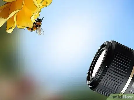 Image titled Get Rid of Bees Step 2