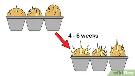 Image titled Chit Potatoes Step 6