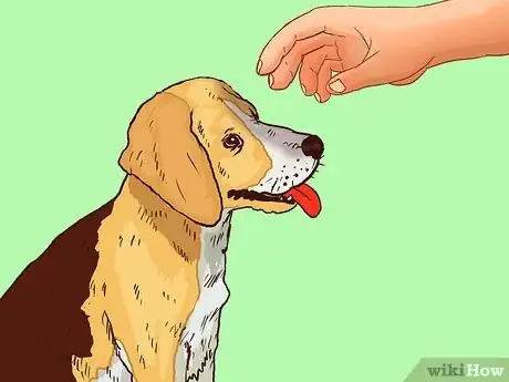 Image titled Deal with Emotional Trauma After a Dog Bites You Step 13