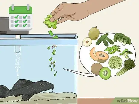 Image titled Feed a Pleco Step 9