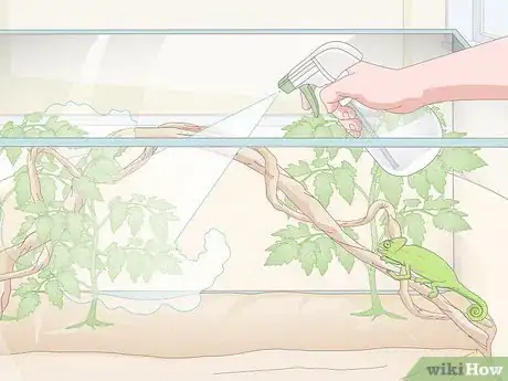 Image titled Take Care of a Chameleon Step 14