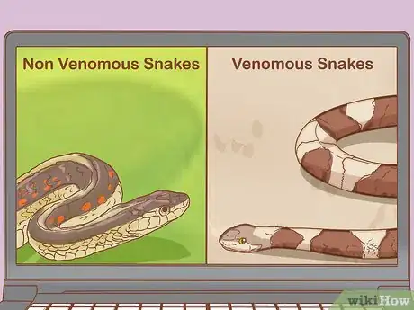 Image titled Find a Snake Step 1