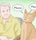 Tell if Your Cat Wants Another Cat