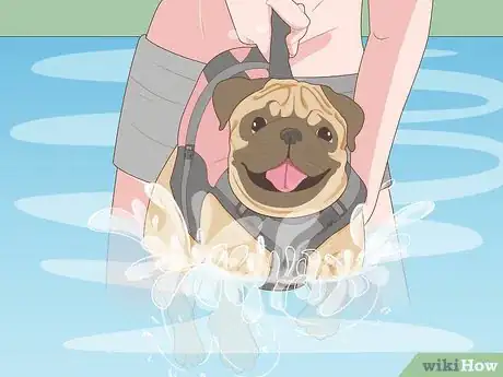 Image titled Safely Introduce Your Dog to Water Step 7