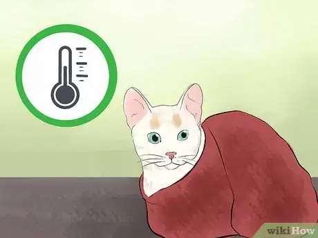 Image titled Tell if Your Cat Is Dead Step 13